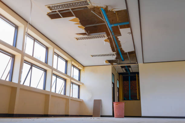 Best Flood damage cleanup  in Baltimore Highlands, MD