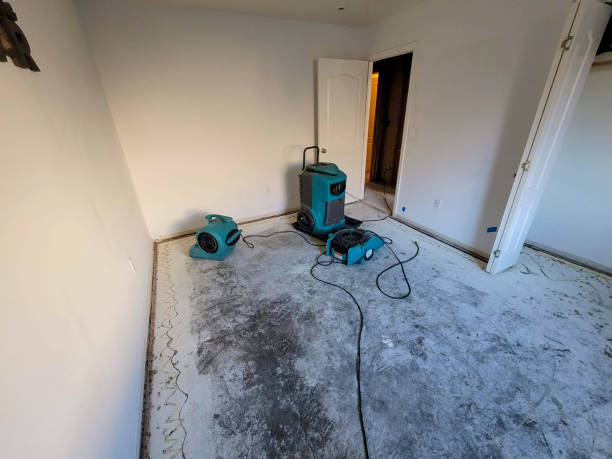 Best Fire Damage Restoration  in Baltimore Highlands, MD