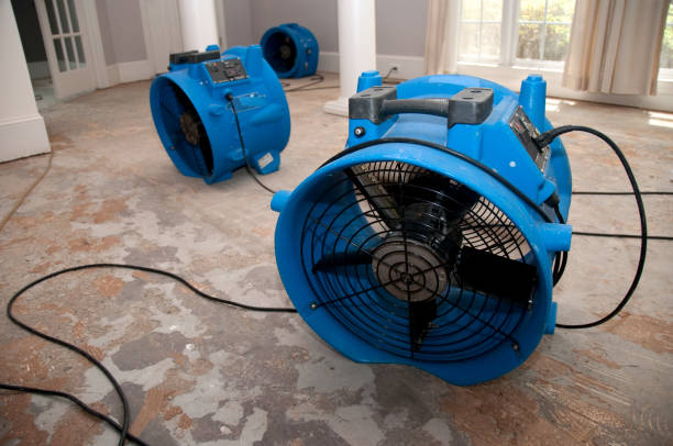 Best Water damage cleanup near me  in Baltimore Highlands, MD