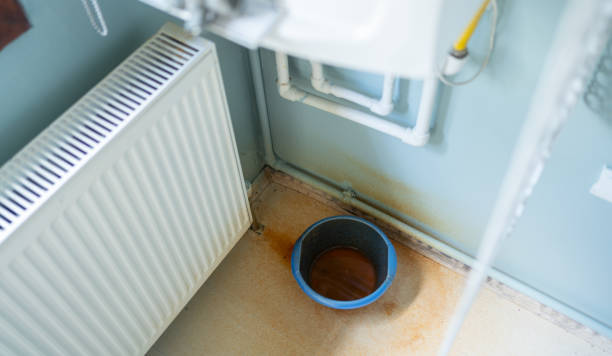 Best Water damage contractors near me  in Baltimore Highlands, MD
