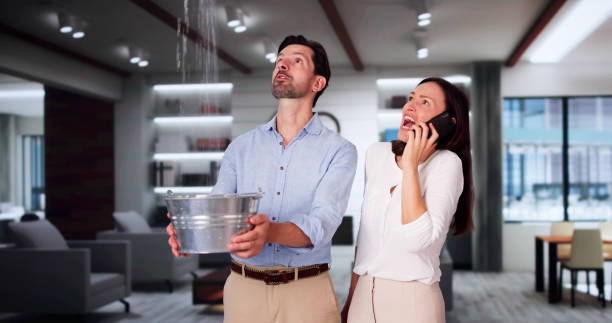 Best Mold removal after water damage  in Baltimore Highlands, MD